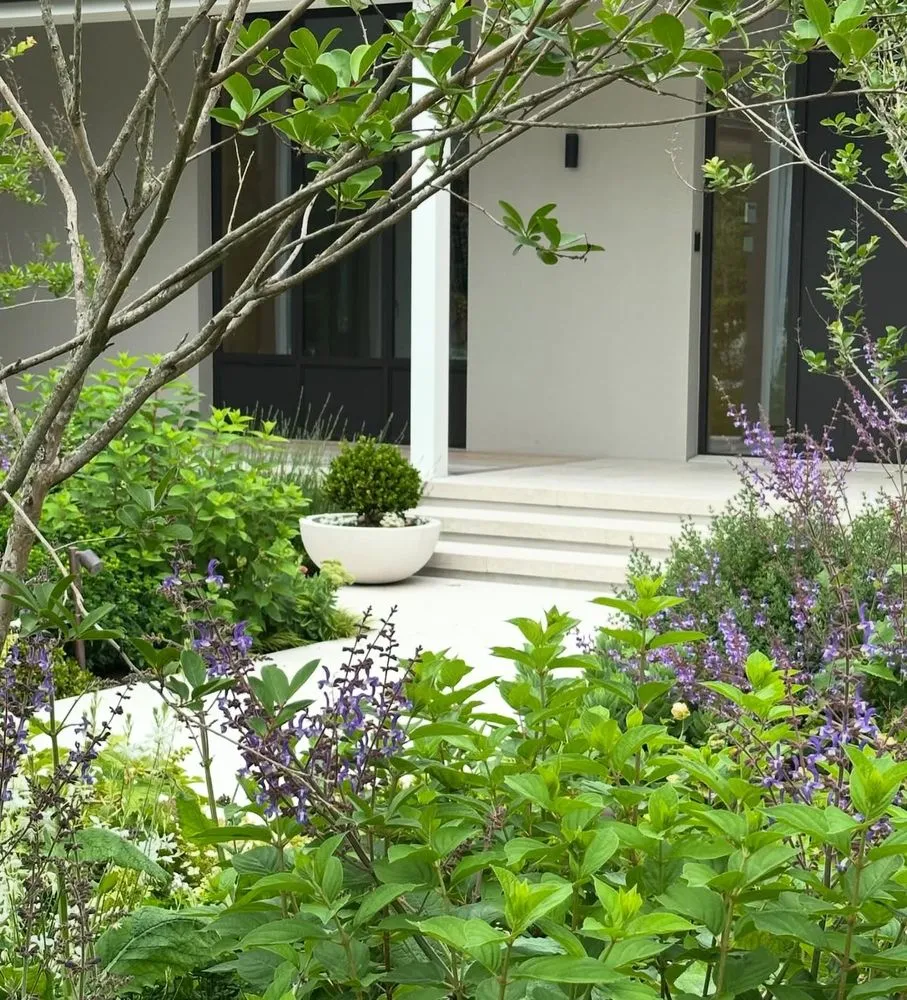 Top-rated landscaping services experts serving San Jose, CA - Willow Glen Gardening