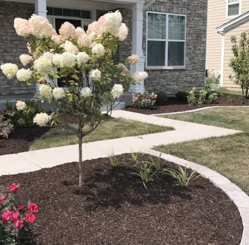 Affordable landscape installation for year-round maintenance in Naperville, IL by Willow Glen Lawn & Landscape