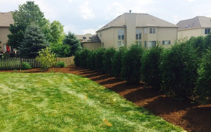 Trusted landscaping services for residential properties in Naperville, IL by Willow Glen Lawn & Landscape