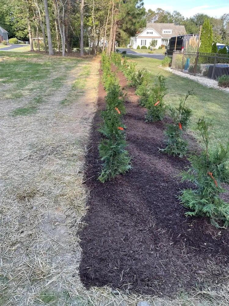 Local landscape installation experts serving Camden, DE - Willow Grove Services