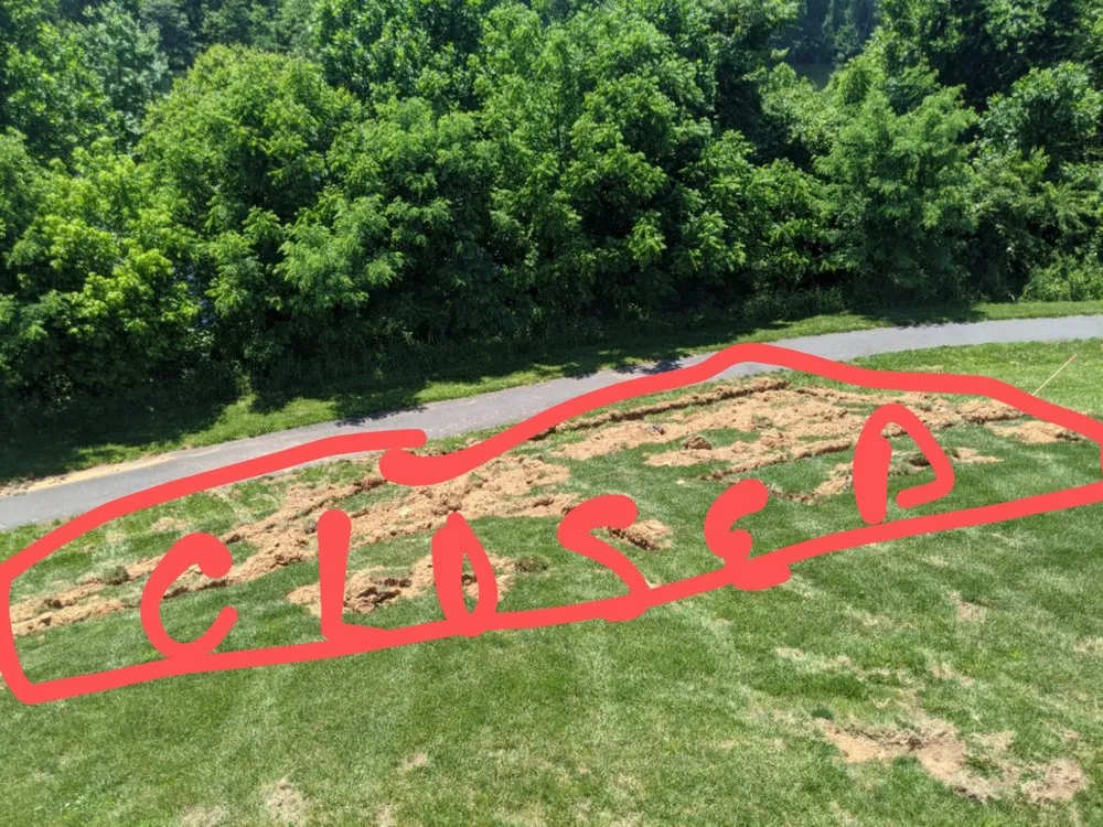 Professional yard maintenance for year-round maintenance across Round Hill, VA - Willow Lake Lawn And Landscaping