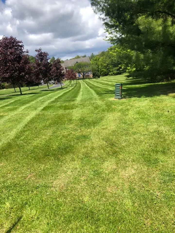 Professional lawn care service in Round Hill, VA - Willow Lake Lawn And Landscaping