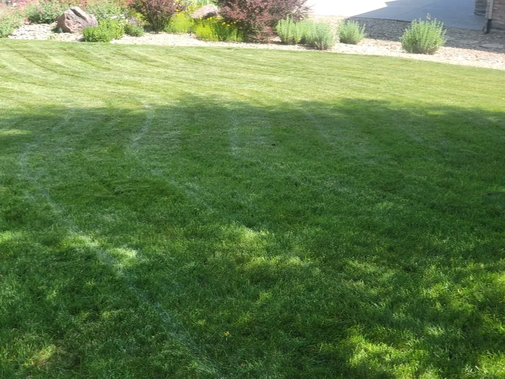 Trusted residential landscaping for outdoor upgrades in Lafayette, CO by Willow Landscape & Lawncare