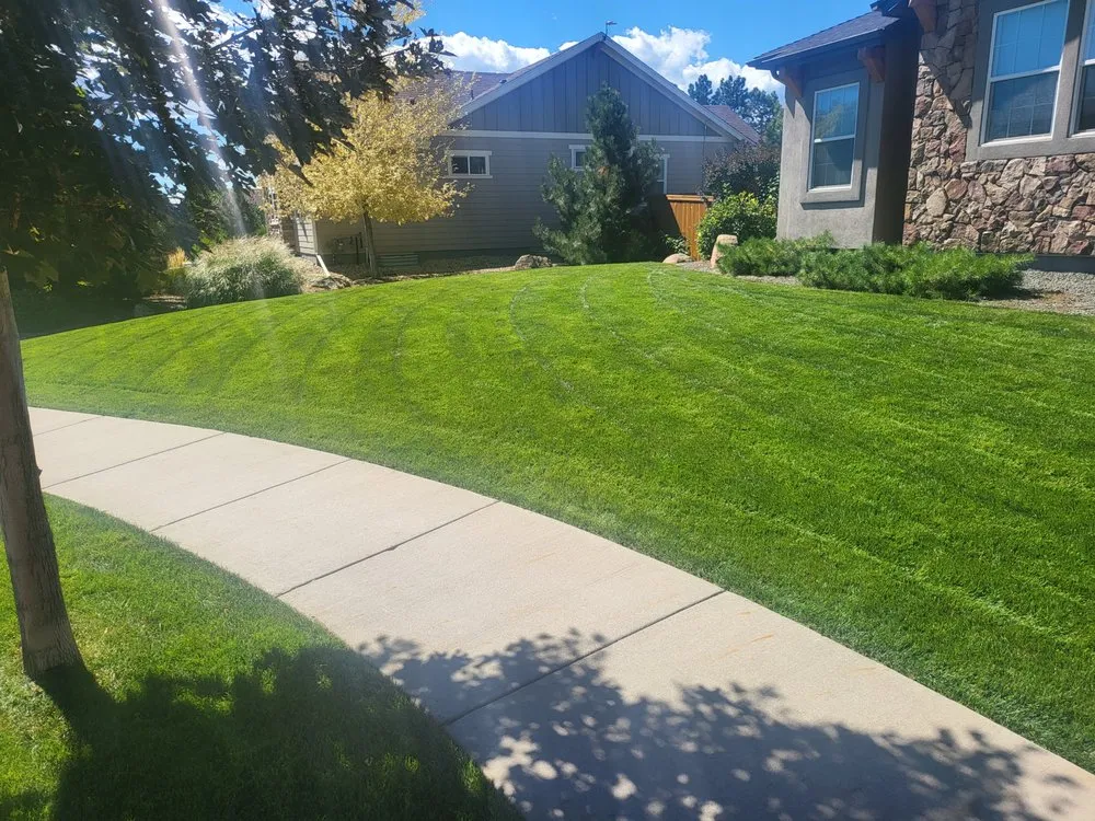 Expert yard maintenance for outdoor upgrades across Lafayette, CO - Willow Landscape & Lawncare