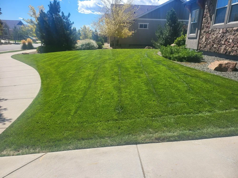 Local yard cleanup service experts serving Lafayette, CO - Willow Landscape & Lawncare