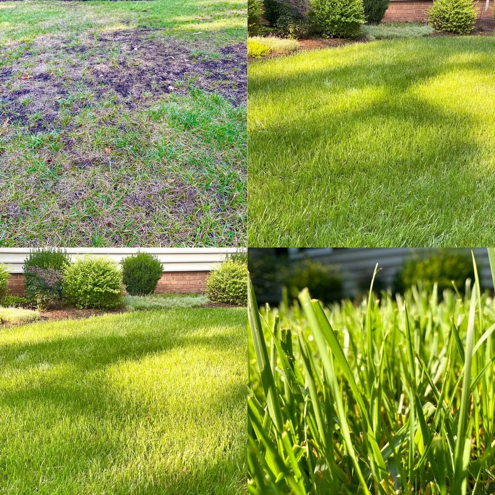 Custom landscape design in Bon Air, VA - Willow Landscaping