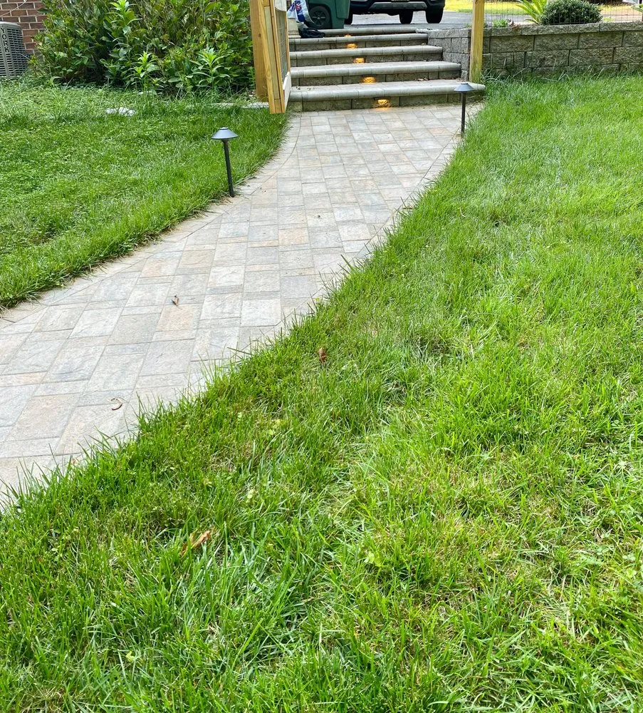 Affordable yard cleanup service in Bon Air, VA by Willow Landscaping