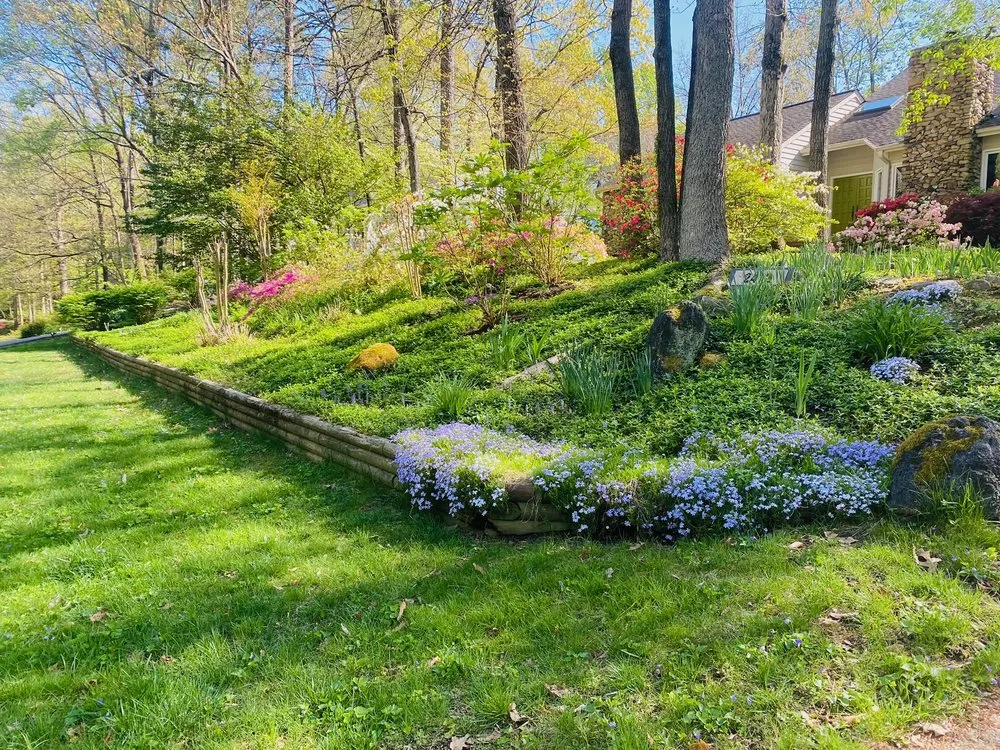 Affordable garden landscaping in Bon Air, VA by Willow Landscaping