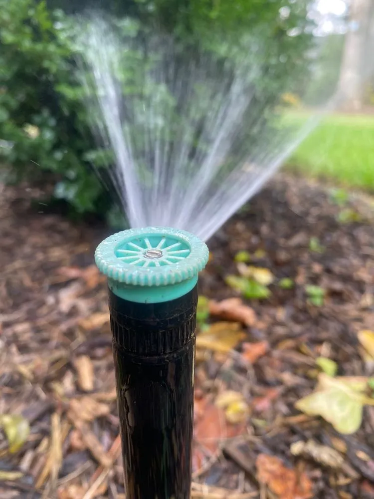 Reliable outdoor landscaping in Bon Air, VA - Willow Landscaping