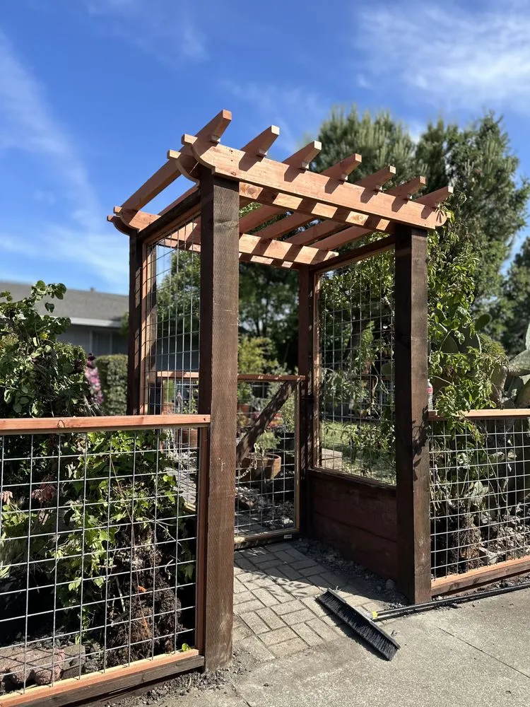 Top-rated yard cleanup service in Petaluma, CA - Willow Landscaping