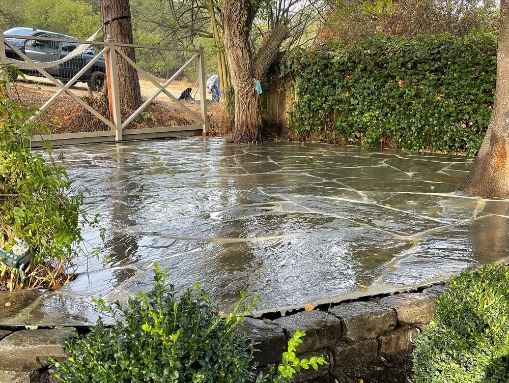 Expert landscape installation for year-round maintenance across Petaluma, CA - Willow Landscaping