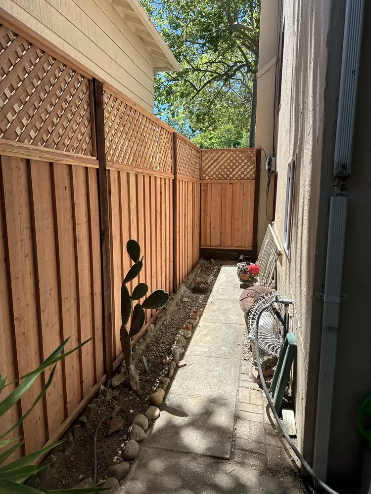 Top-rated landscaping services experts serving Petaluma, CA - Willow Landscaping