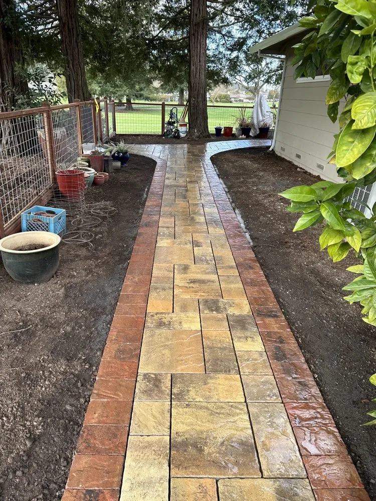 Local yard cleanup service in Petaluma, CA - Willow Landscaping