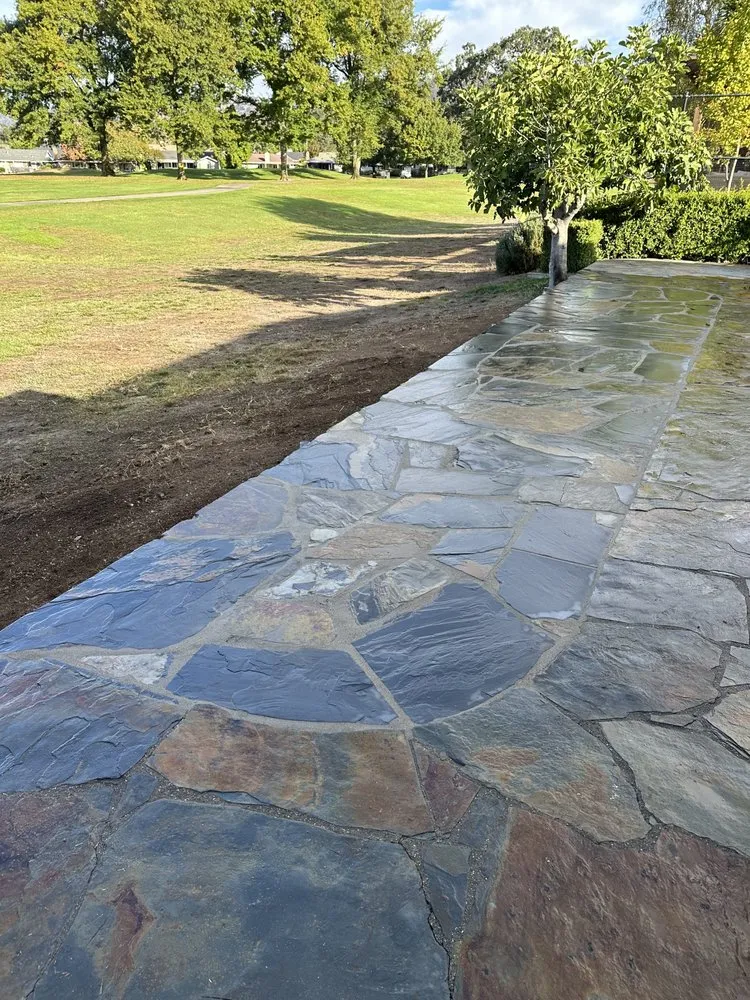 Custom yard cleanup service in Petaluma, CA by Willow Landscaping