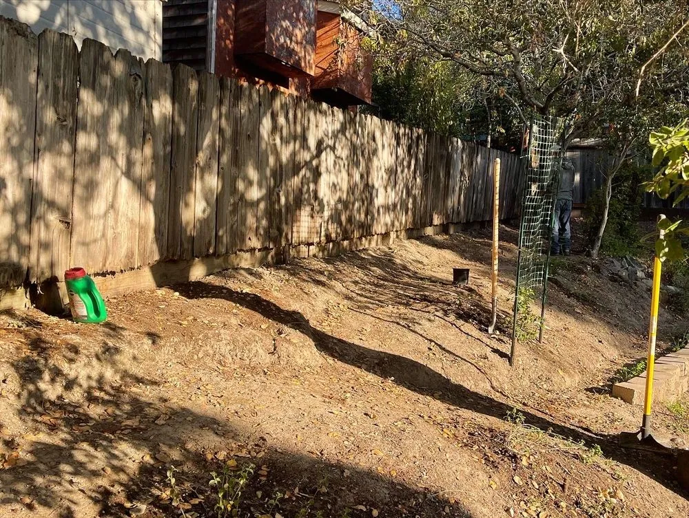 Expert lawn mowing service for homes in Petaluma, CA by Willow Landscaping