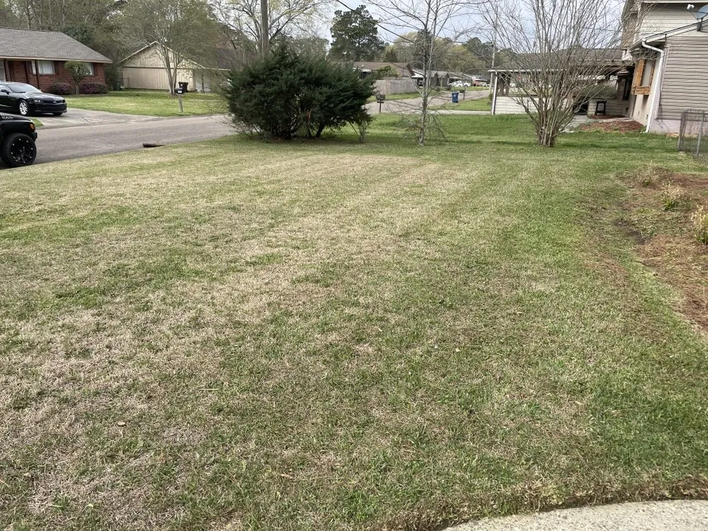 Expert landscape design for year-round maintenance in Petal, MS by Willow Lawn Care