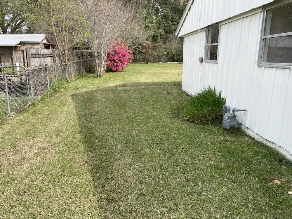 Top-rated yard cleanup service in Petal, MS by Willow Lawn Care
