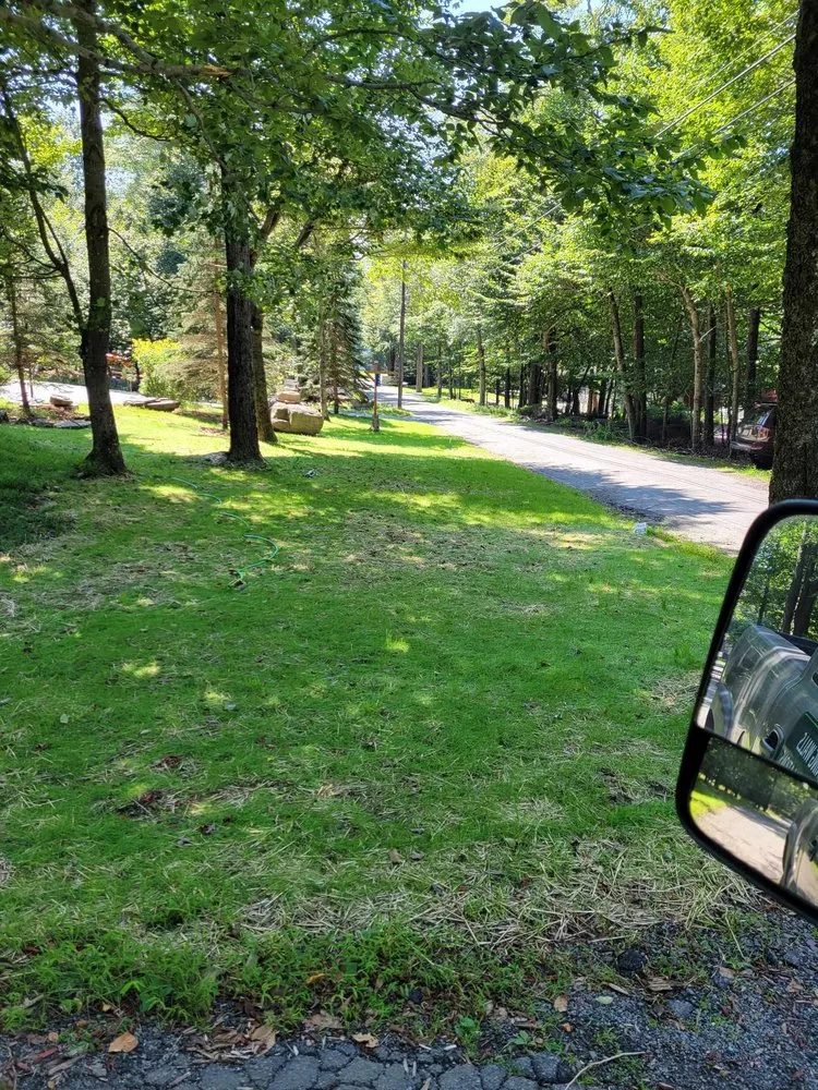 Professional outdoor landscaping in Scranton, PA - Willow Mountain Construction