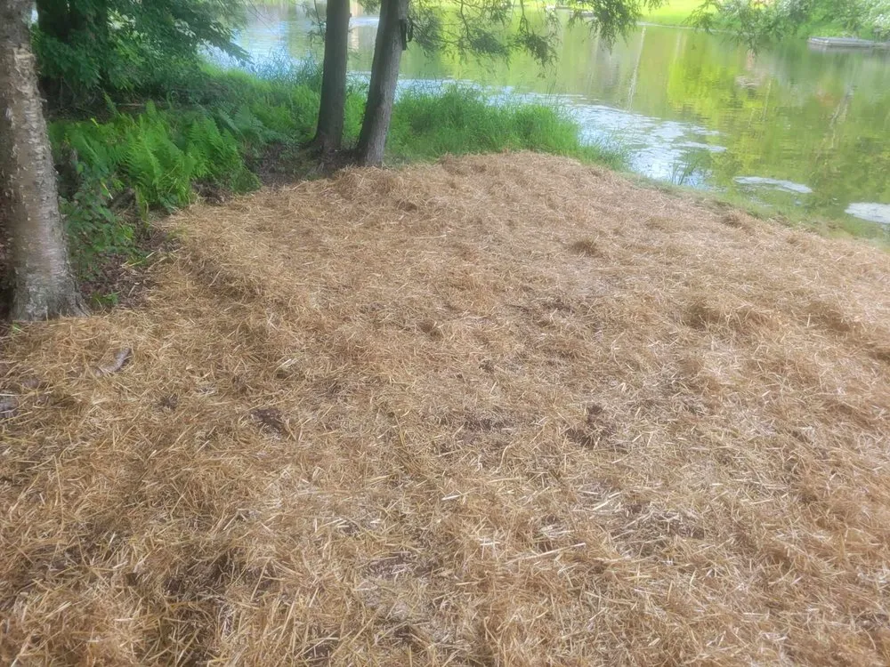 Reliable landscape design for beautiful yards across Scranton, PA - Willow Mountain Construction