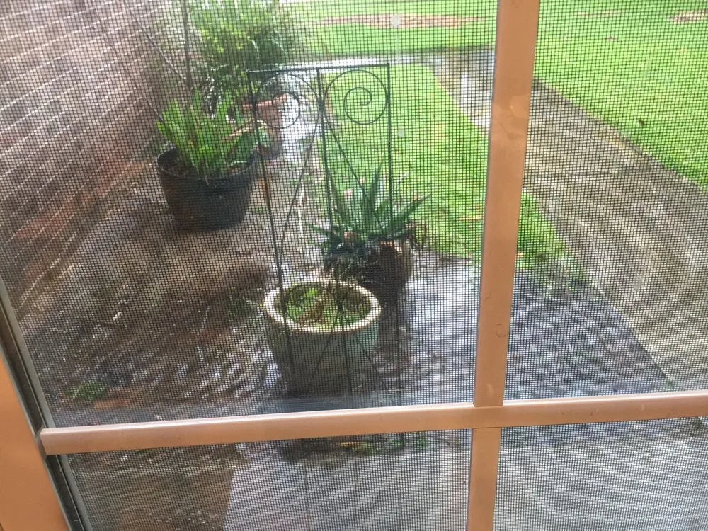 Expert lawn mowing service for residential properties in Pearland, TX by Willow Oak Landscapes