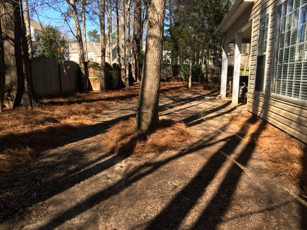 Reliable residential landscaping for residential properties in Reidville, SC by Willow Oak Lawn Care