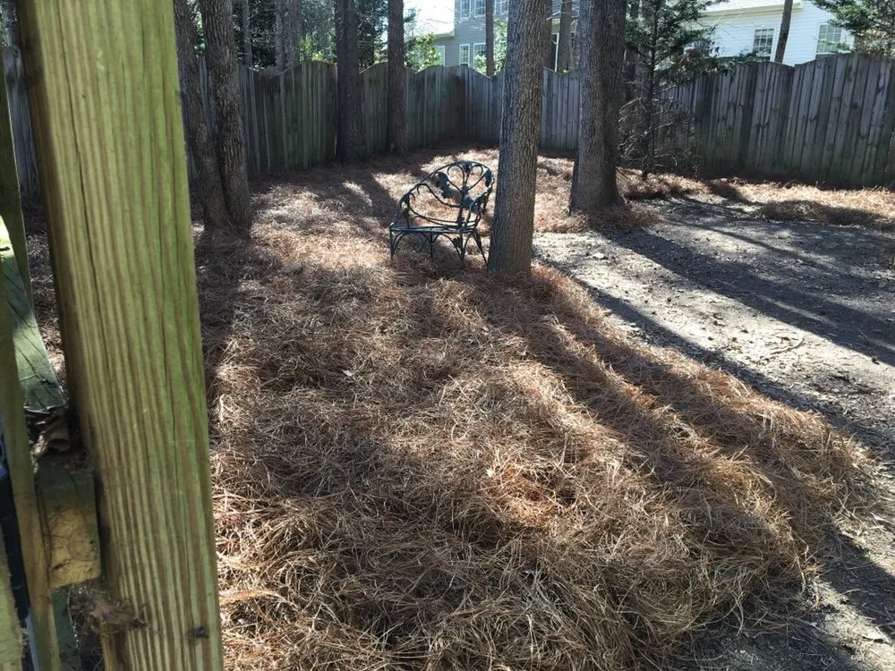 Custom landscape design experts serving Reidville, SC - Willow Oak Lawn Care