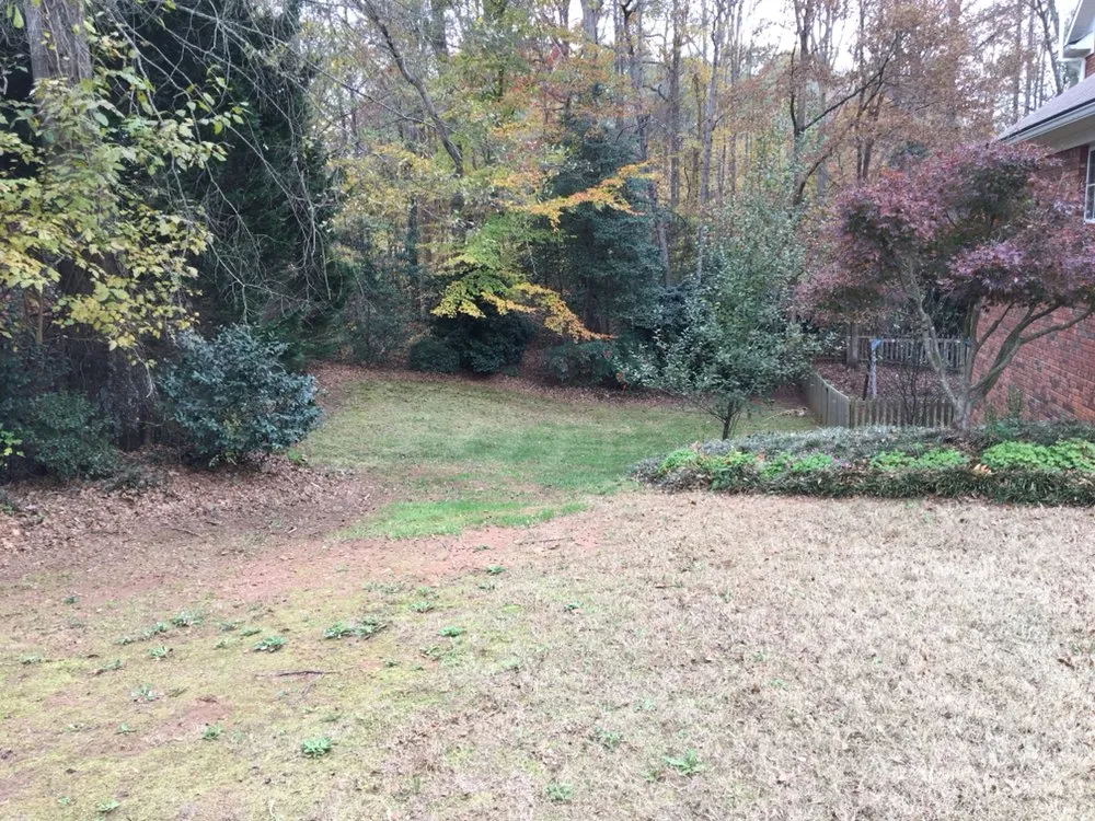 Professional landscape design in Reidville, SC by Willow Oak Lawn Care