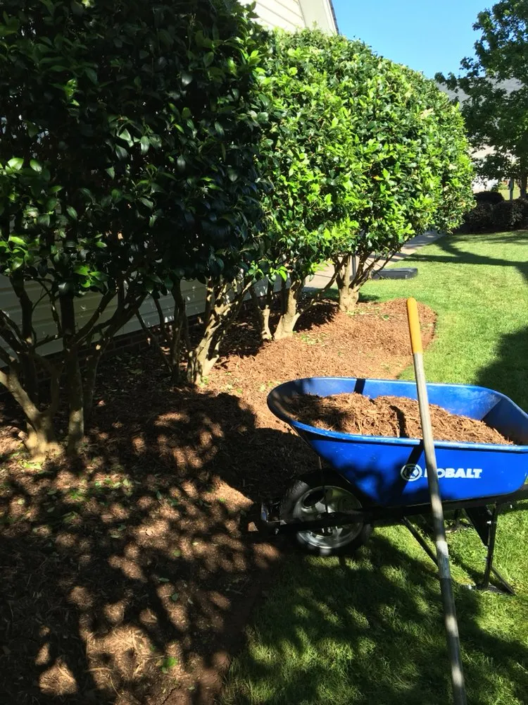 Top-rated yard cleanup service in Reidville, SC by Willow Oak Lawn Care