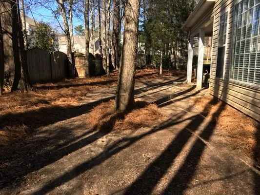 Willow Oak Lawn Care