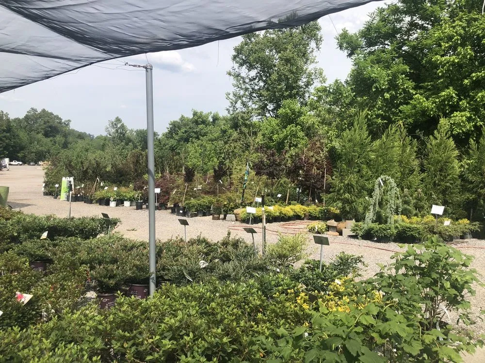 Professional landscape design for beautiful yards across Oak Ridge, TN - Willow Ridge Garden Center & Landscaping