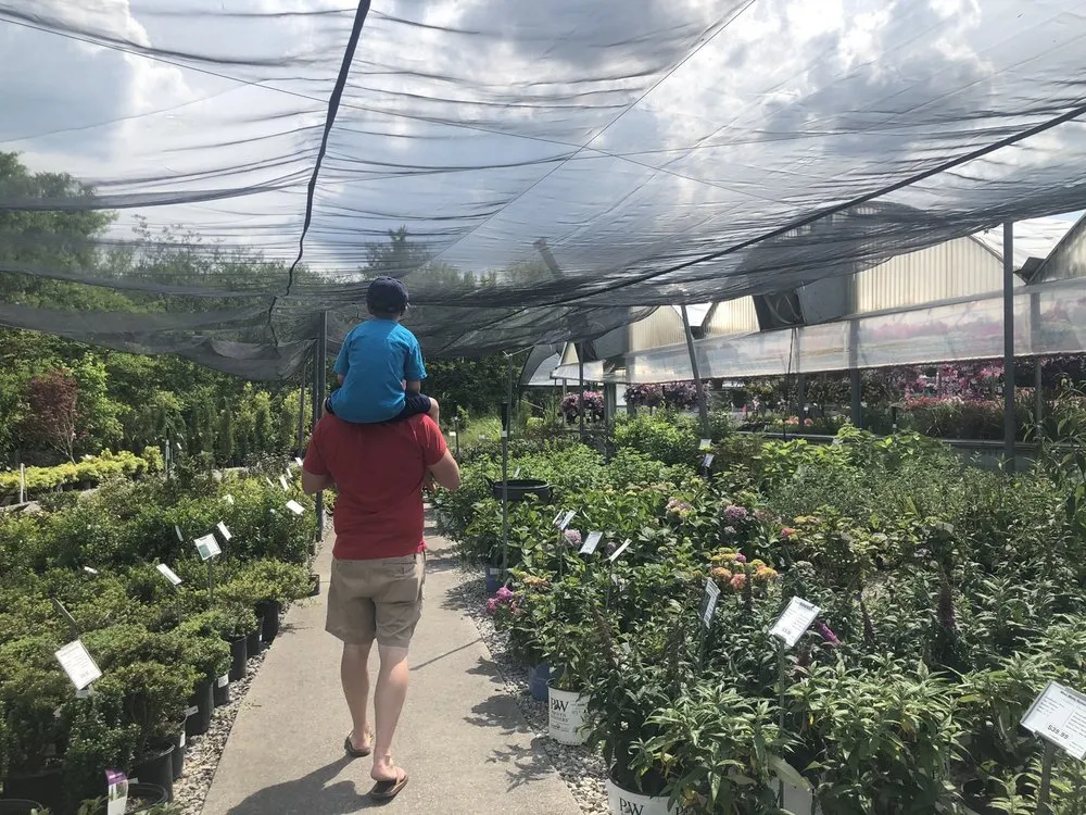 Custom landscaping services experts serving Oak Ridge, TN - Willow Ridge Garden Center & Landscaping