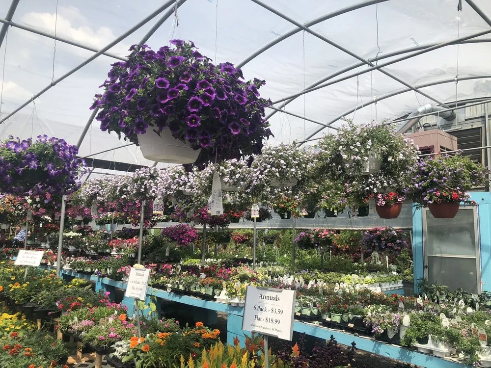 Affordable yard maintenance experts serving Oak Ridge, TN - Willow Ridge Garden Center & Landscaping