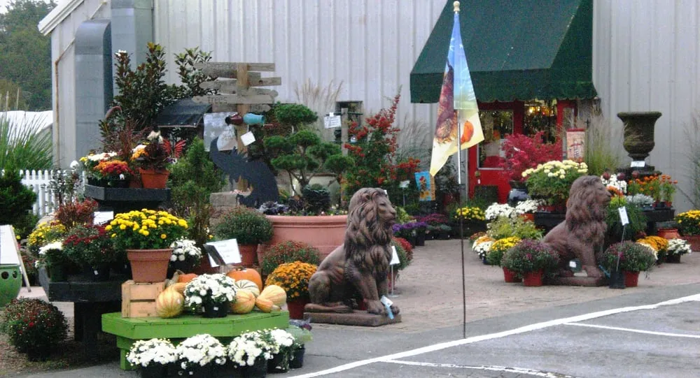 Professional yard maintenance experts serving Oak Ridge, TN - Willow Ridge Garden Center & Landscaping