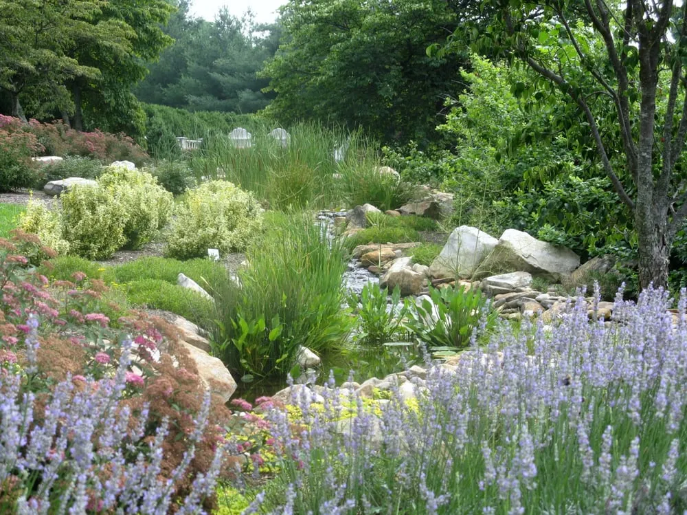 Professional yard maintenance in Oak Ridge, TN by Willow Ridge Garden Center & Landscaping