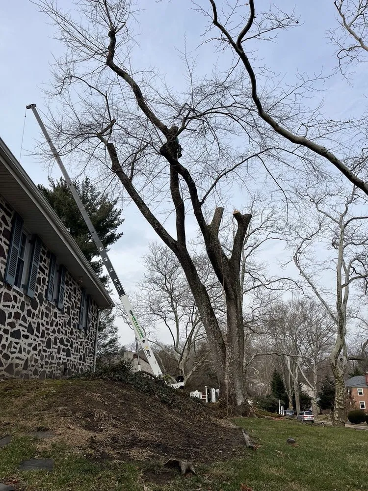 Custom landscaping services for year-round maintenance in Hatboro, PA by Willow Tree & Landscape Services