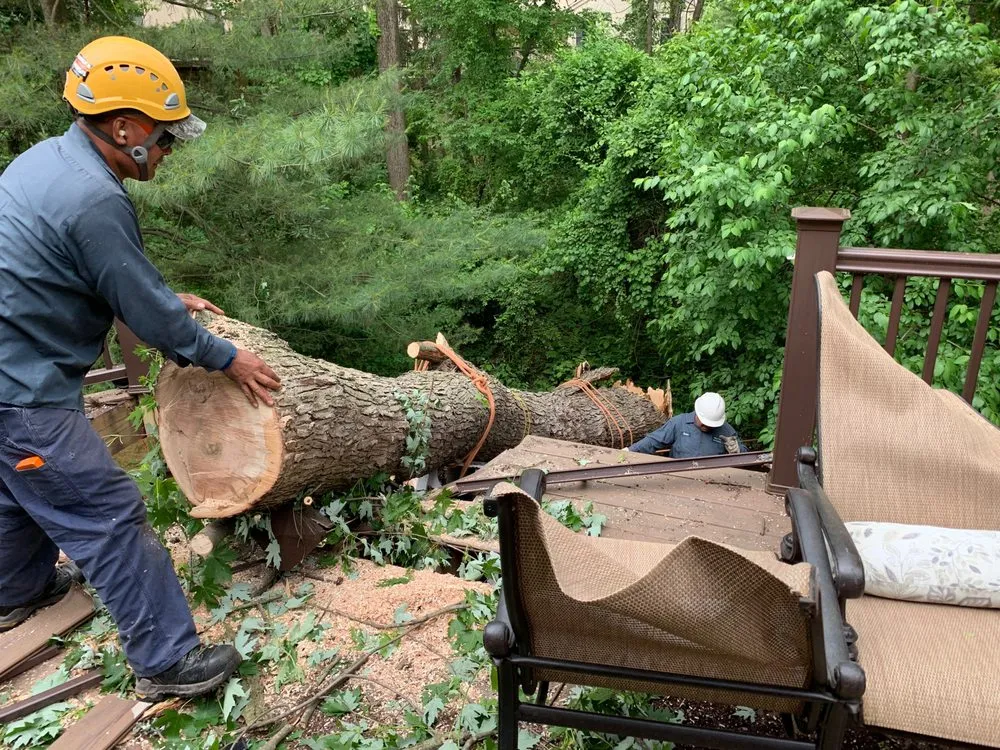 Expert garden landscaping in Hatboro, PA - Willow Tree & Landscape Services