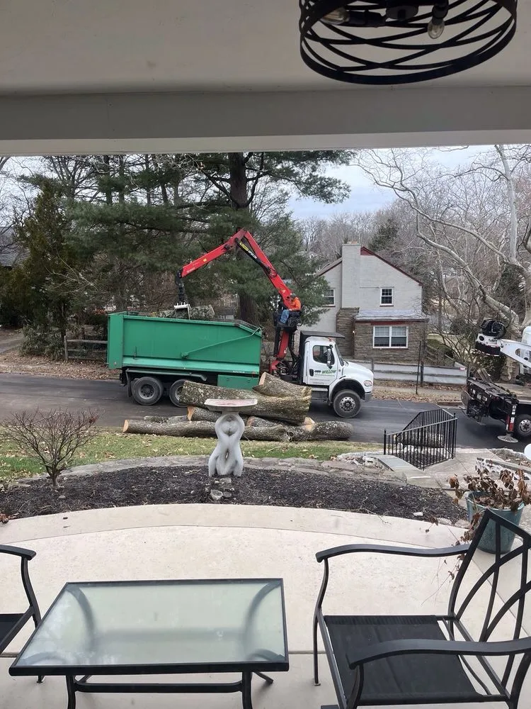 Top-rated yard cleanup service for beautiful yards in Hatboro, PA by Willow Tree & Landscape Services