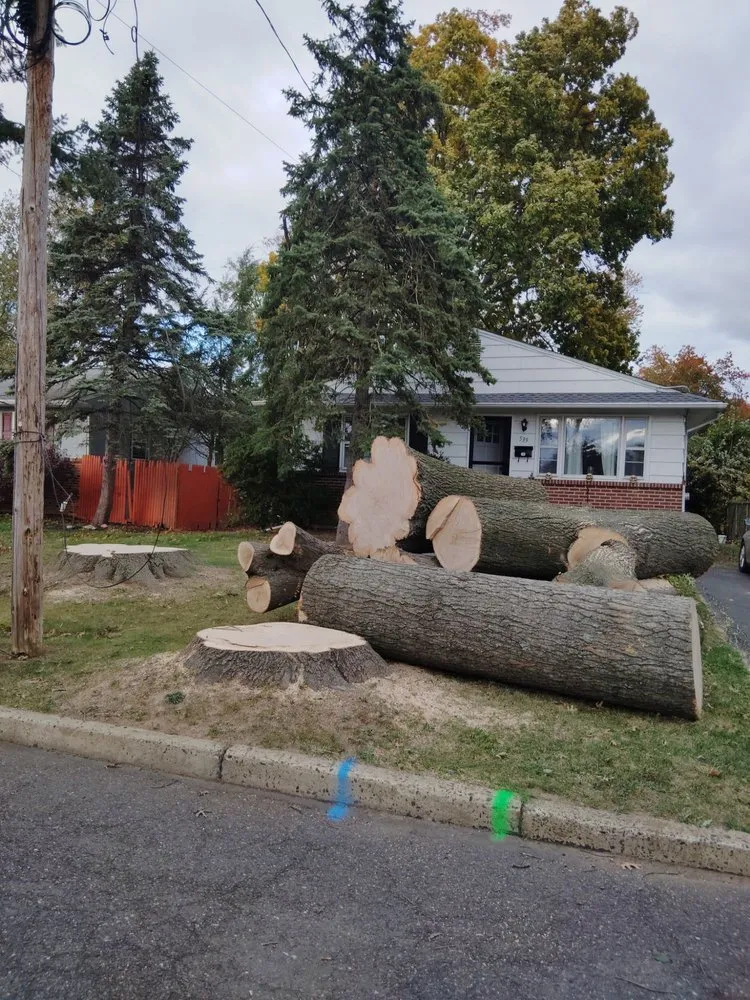 Top-rated landscaping services in Hatboro, PA by Willow Tree & Landscape Services