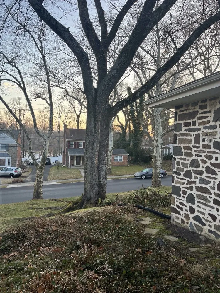 Custom yard maintenance for residential properties across Hatboro, PA - Willow Tree & Landscape Services