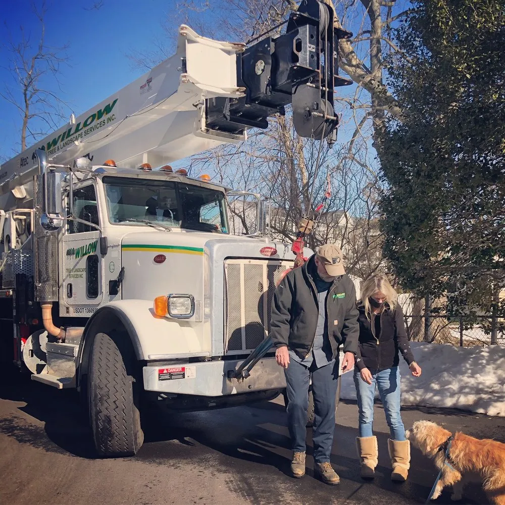 Affordable landscaping services in Hatboro, PA - Willow Tree & Landscape Services