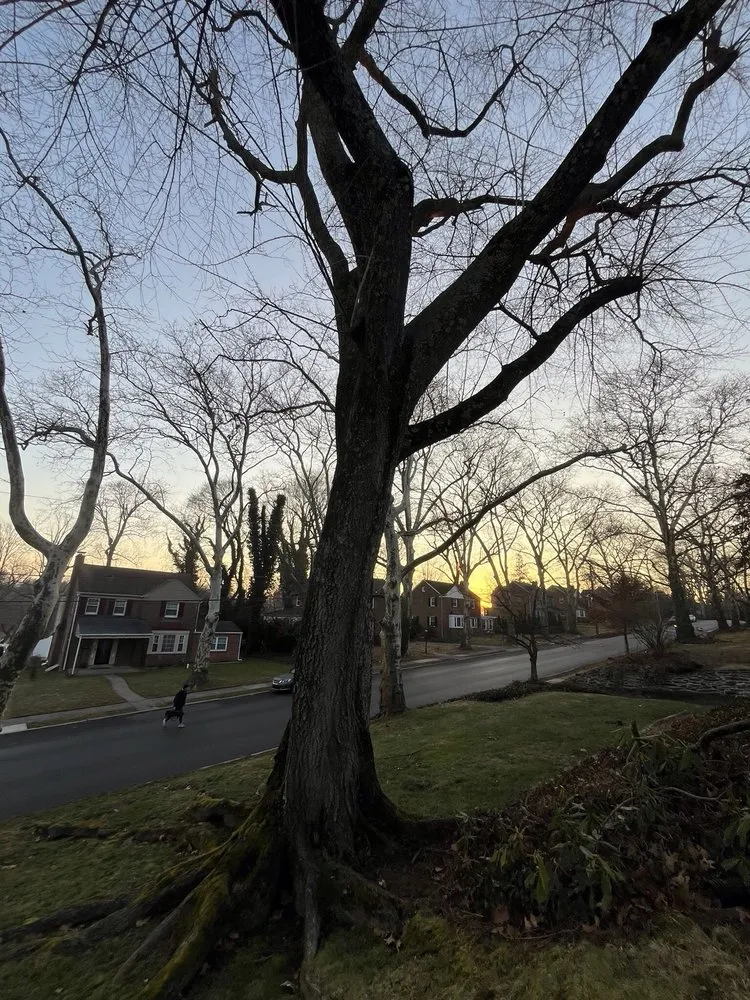 Trusted landscape installation with custom design across Hatboro, PA - Willow Tree & Landscape Services