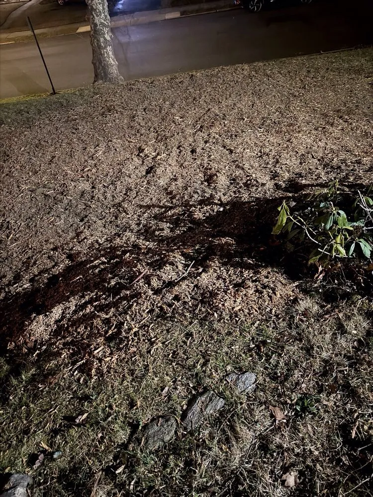 Professional lawn care service in Hatboro, PA - Willow Tree & Landscape Services