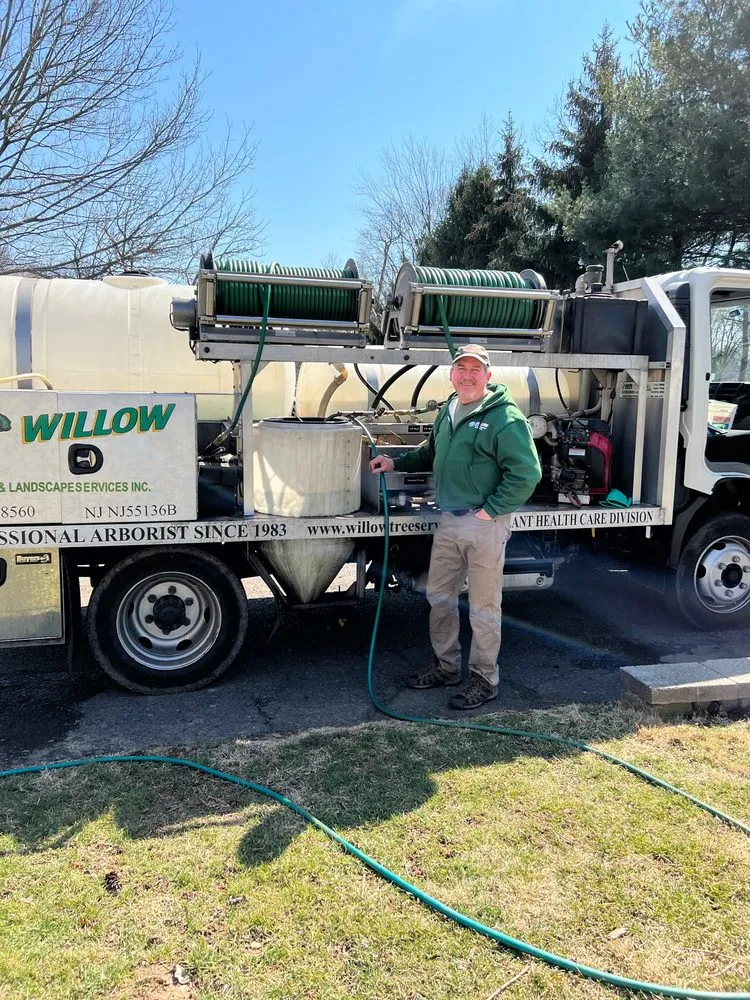 Custom landscaping services in Hatboro, PA - Willow Tree & Landscape Services