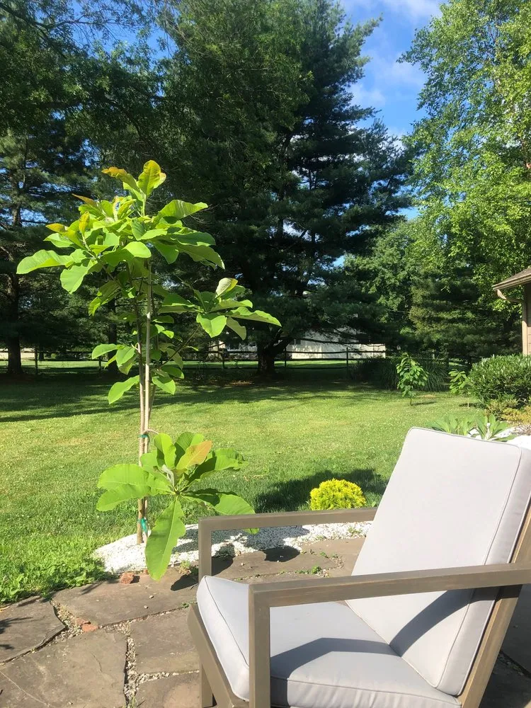 Top-rated landscape design with custom design in Hatboro, PA by Willow Tree & Landscape Services