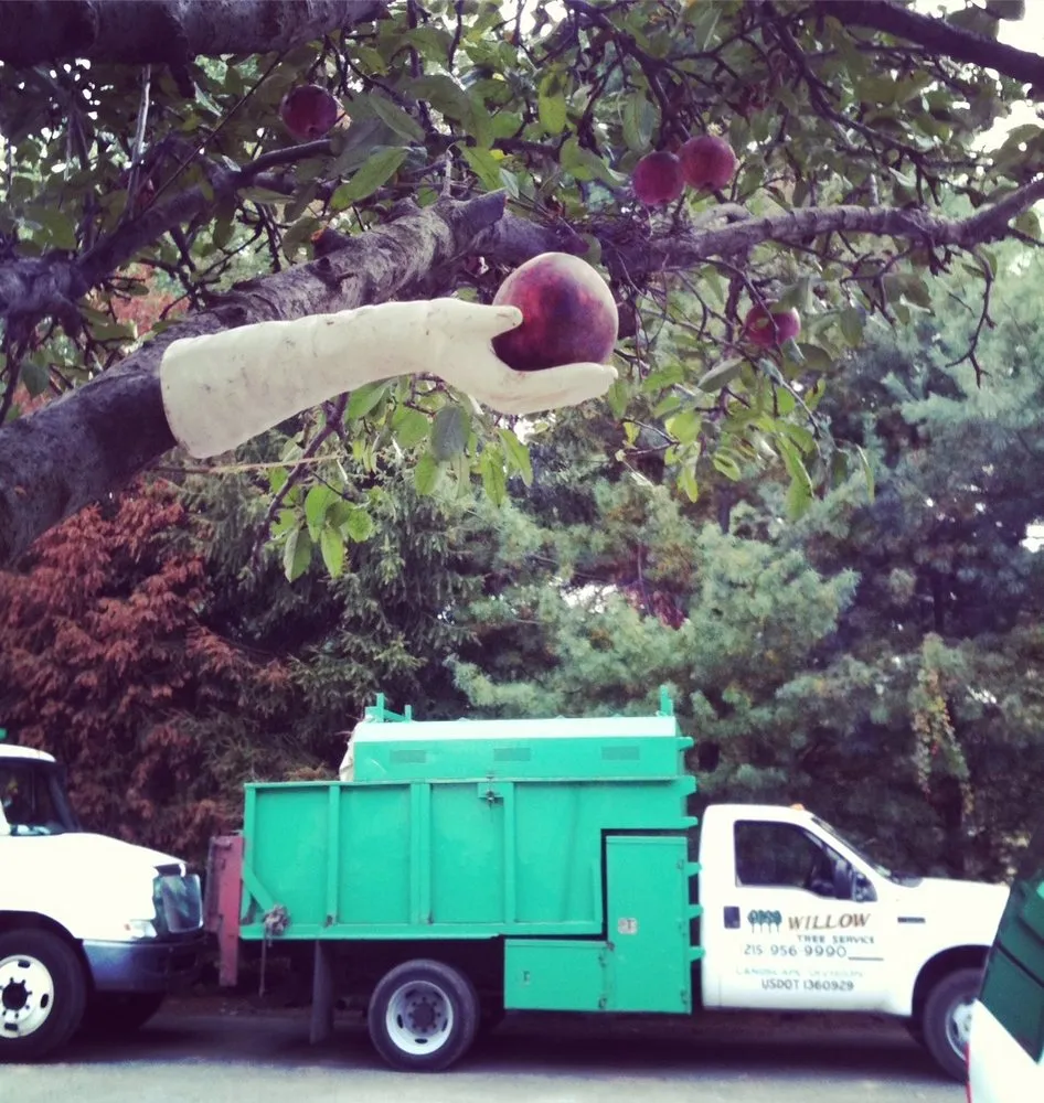 Top-rated landscape installation for beautiful yards in Hatboro, PA by Willow Tree & Landscape Services