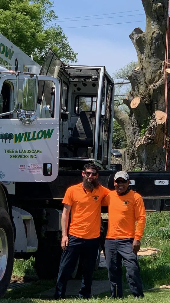 Local residential landscaping near you in Hatboro, PA by Willow Tree & Landscape Services