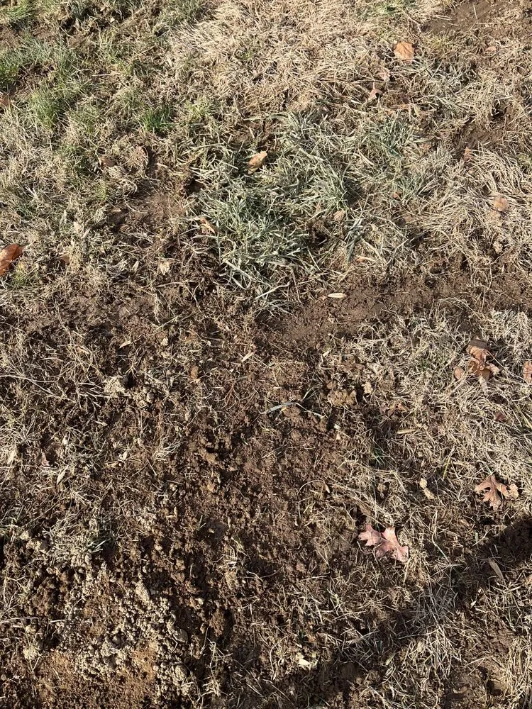 Reliable lawn care service for homes across Hatboro, PA - Willow Tree & Landscape Services