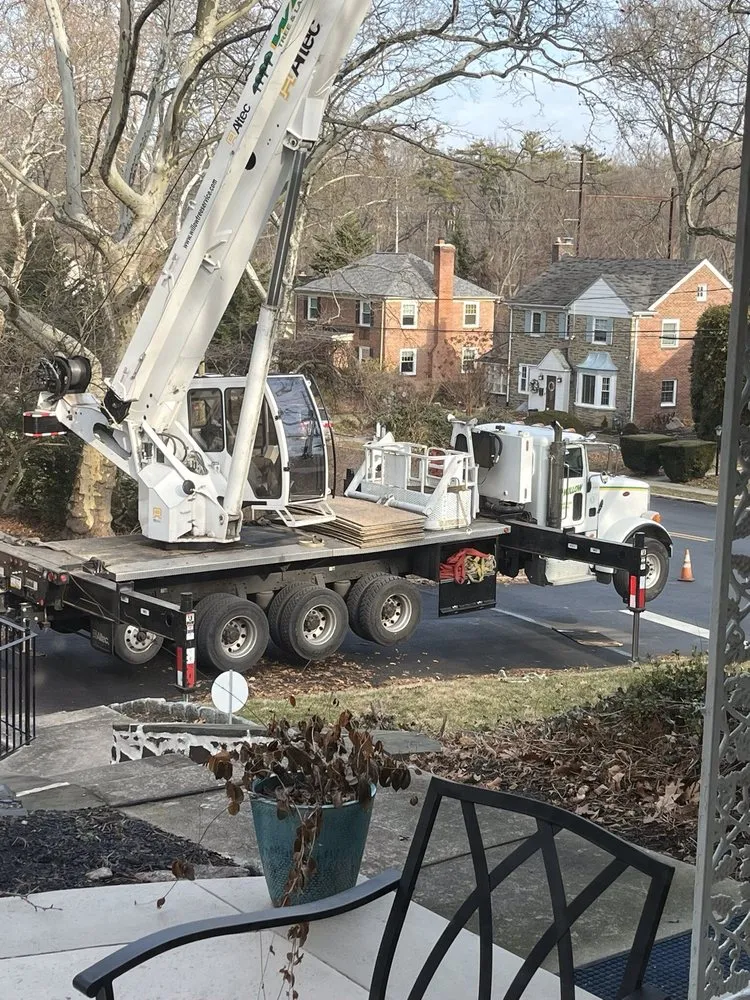 Affordable garden landscaping for outdoor upgrades in Hatboro, PA by Willow Tree & Landscape Services