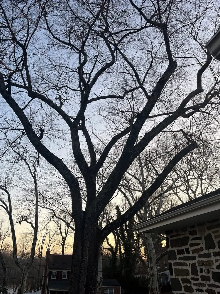 Trusted residential landscaping experts serving Hatboro, PA - Willow Tree & Landscape Services