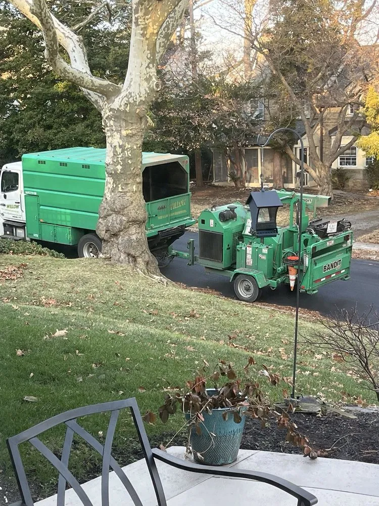 Reliable landscape installation in Hatboro, PA by Willow Tree & Landscape Services